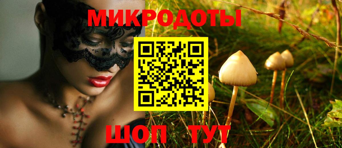 Псилоцибиновые грибы Psilocybine cubensis Дедовск